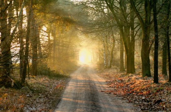 Bild Altlasten-Wholeness